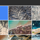 Illustration for article titled How to Put the Google Pixels Best Features on Your Phoneem/em